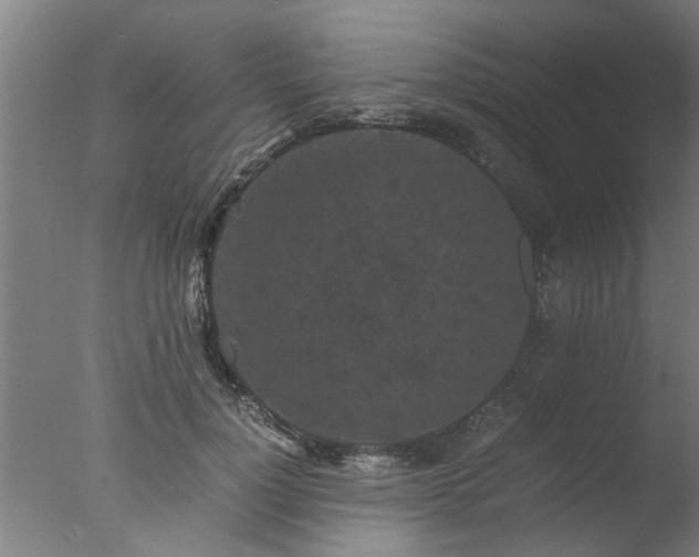 X0000077390748200610272012