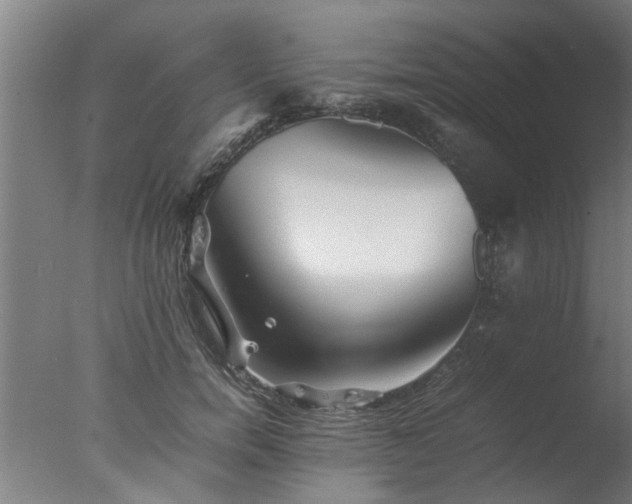 X0000077390750200610272012