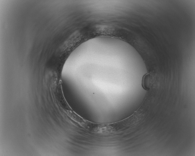 X0000077390752200610272012