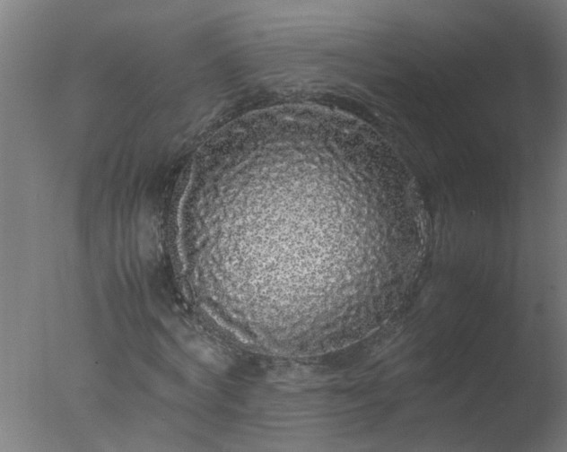 X0000077390772200610272012