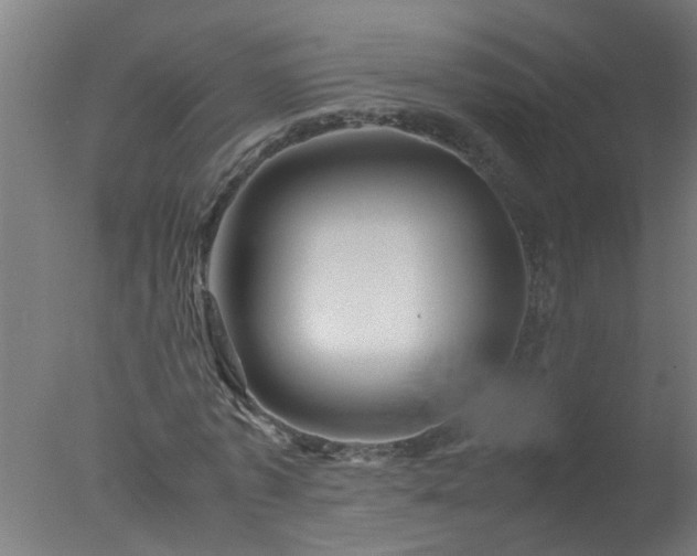 X0000077390773200610272012