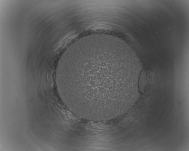 X0000077390774200610272012