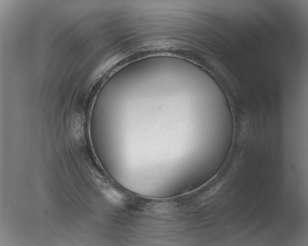 X0000077390778200610272011