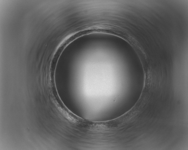 X0000077390784200610272011