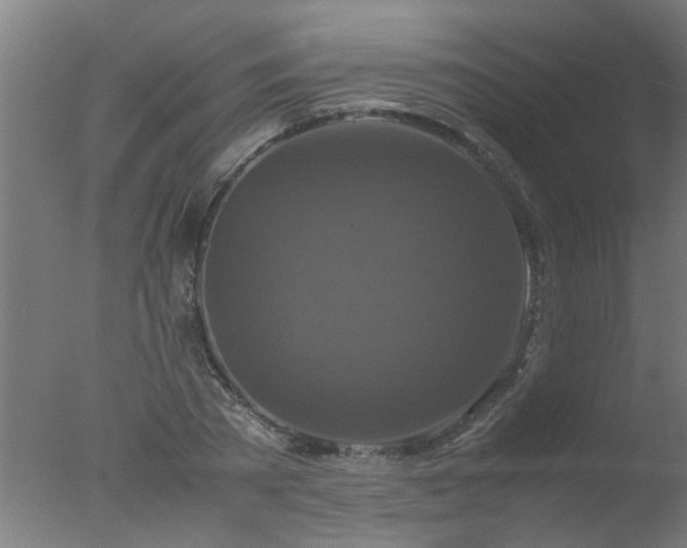 X0000077390785200610272011