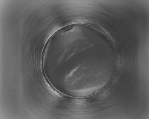 X0000077390802200610272011