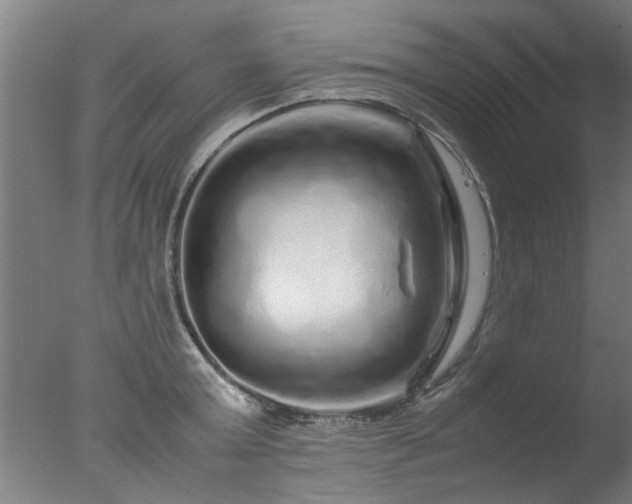 X0000077390803200610272011