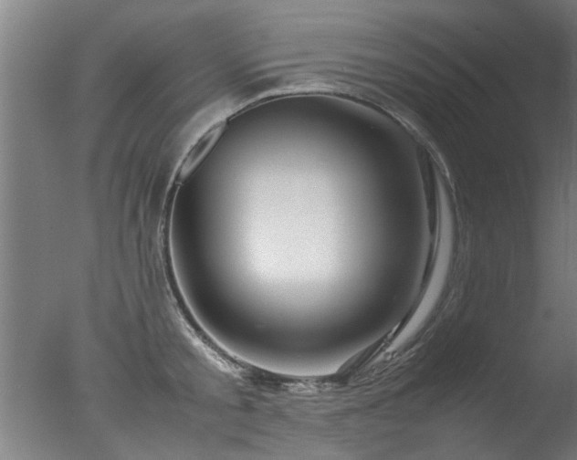 X0000077390805200610272011