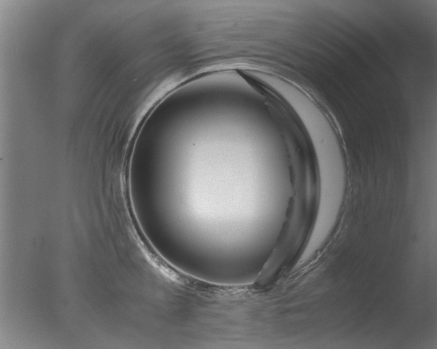 X0000077390813200610272011