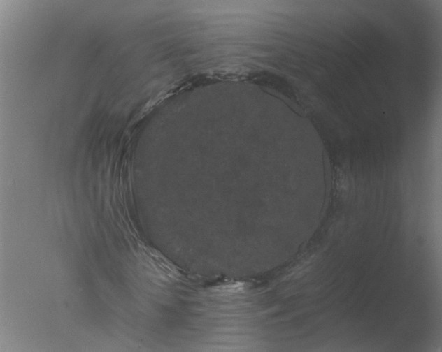 X0000077390818200610272010