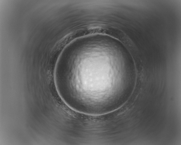 X0000077390821200610272010