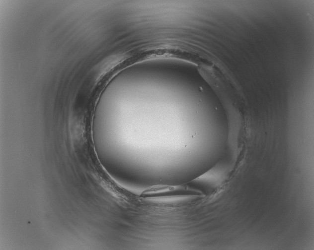 X0000077390826200610272010