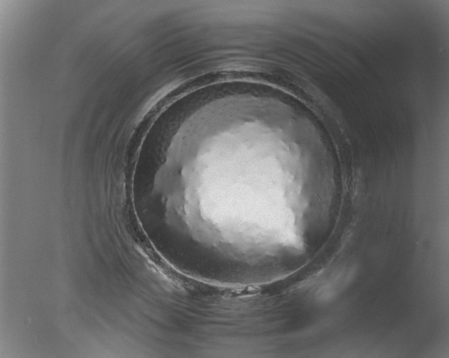 X0000077390829200610272010