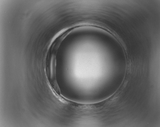 X0000077390862200610272011