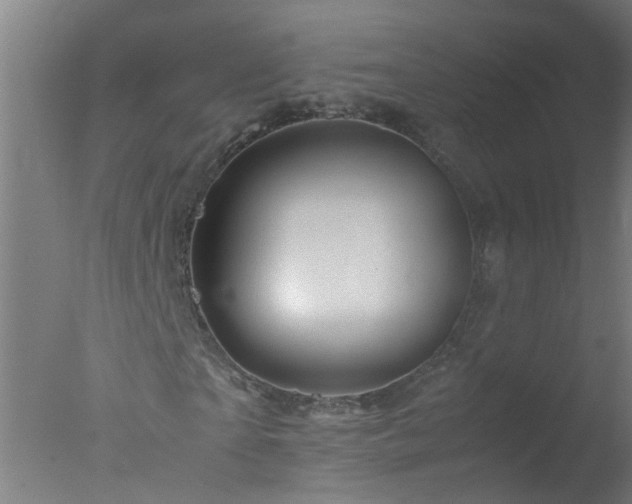 X0000077390865200610272010
