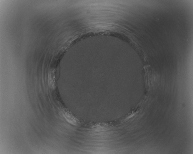 X0000077390868200610272010