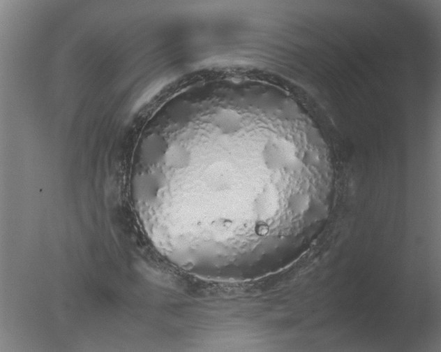 X0000077390871200610272010