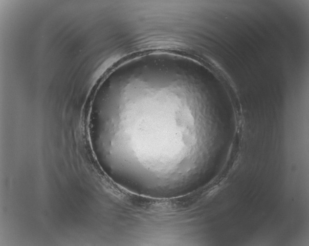 X0000077390883200610272010