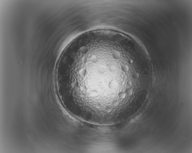 X0000077390911200610272009