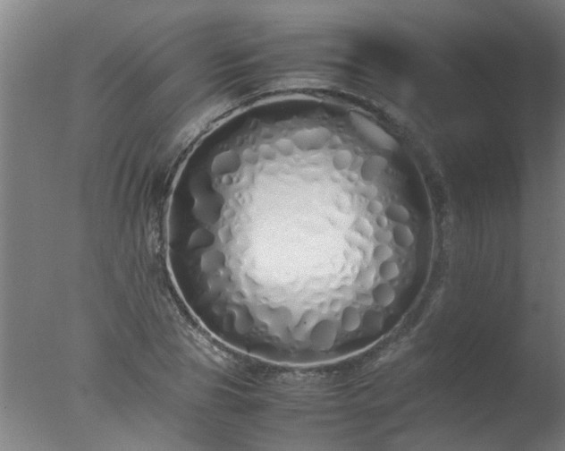 X0000077390929200610272009