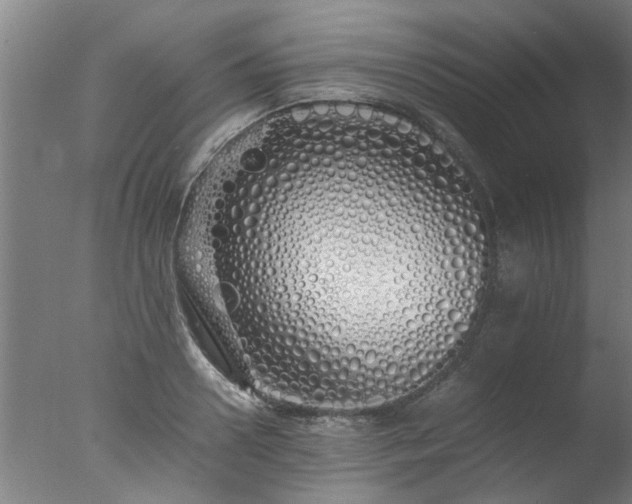 X0000077390938200610272009