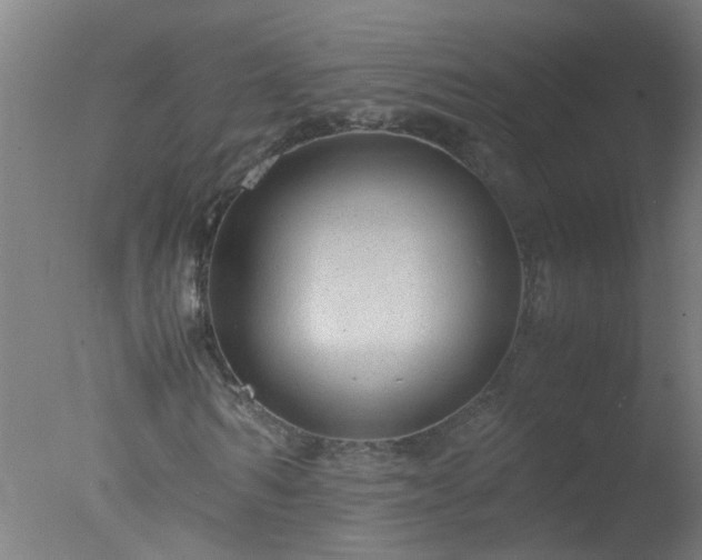 X0000077390962200610272008