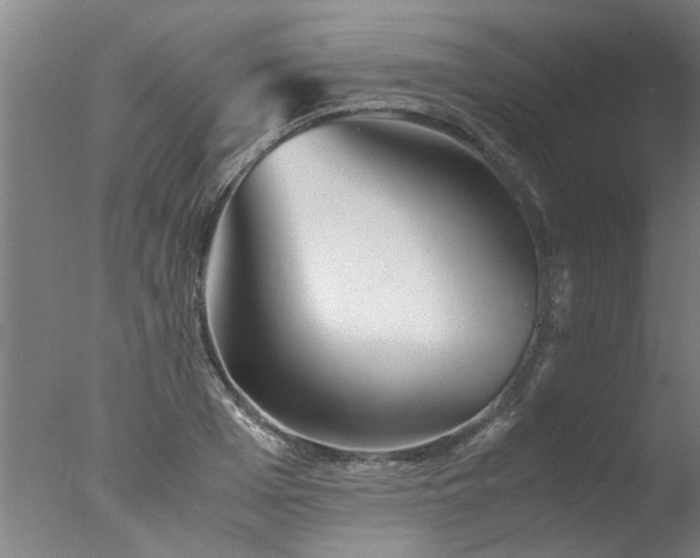 X0000077390985200610272008