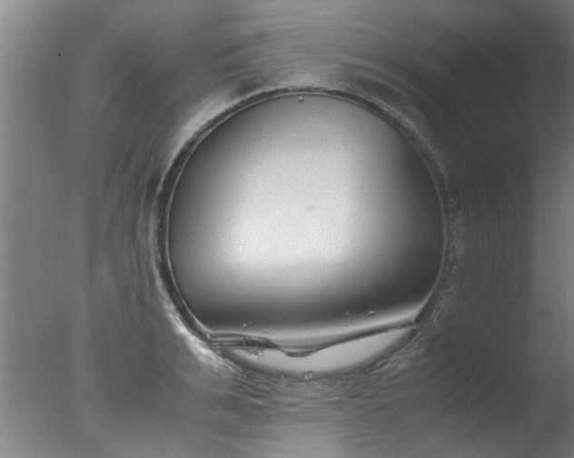 X0000077390991200610272008