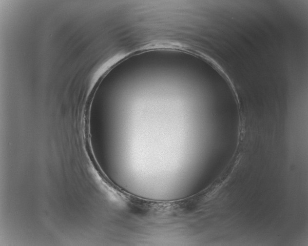 X0000077391003200610272008