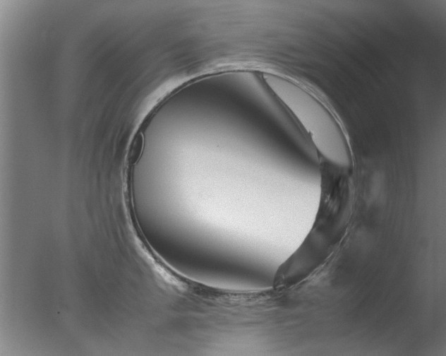 X0000077391005200610272008