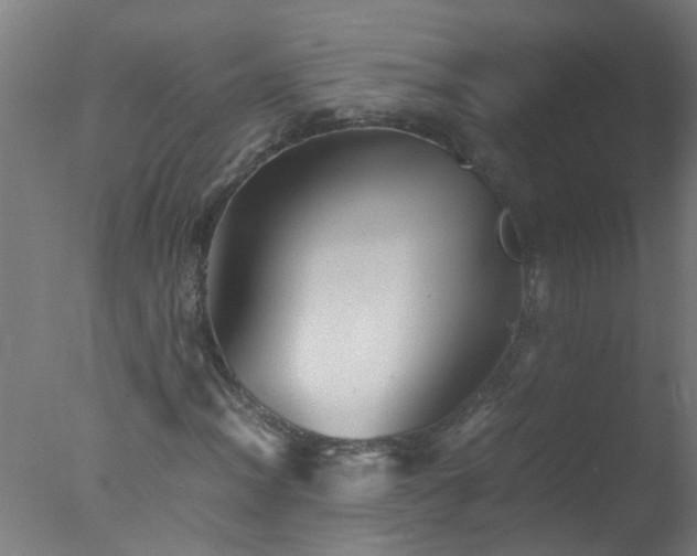 X0000077391012200610272007