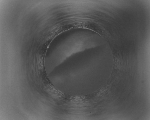 X0000077391013200610272007