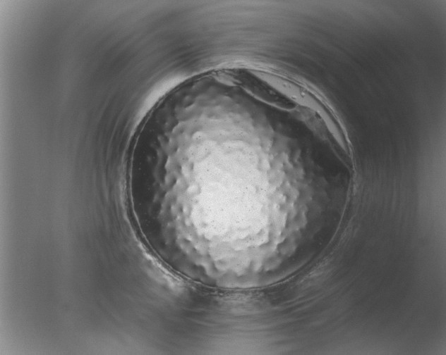 X0000077391048200610272007