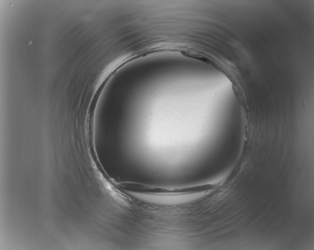 X0000077391050200610272007