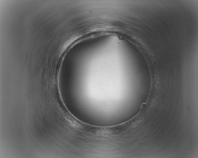 X0000077391073200610272007