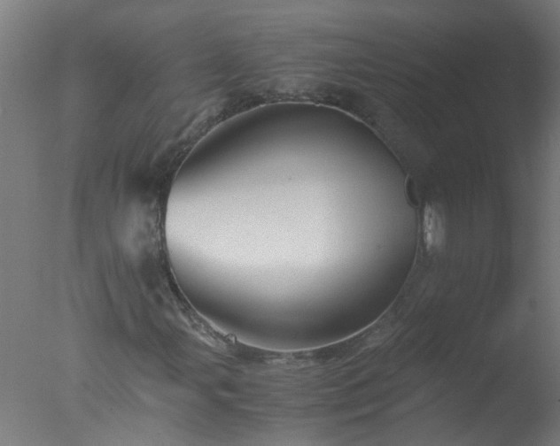 X0000077391107200610272005