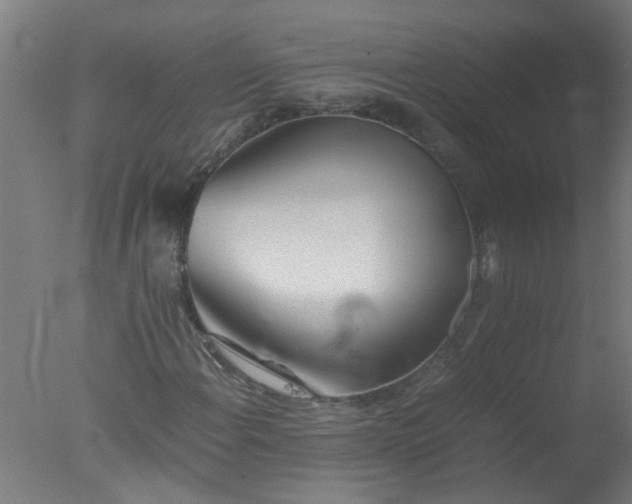 X0000077391108200610272005
