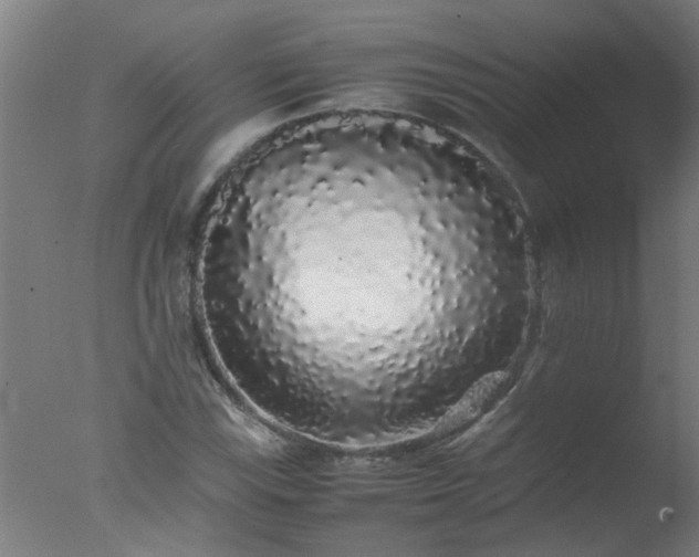 X0000077391115200610272005