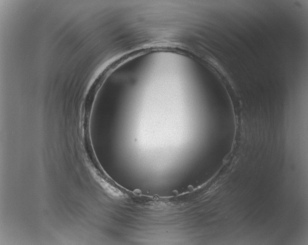 X0000077391124200610272005