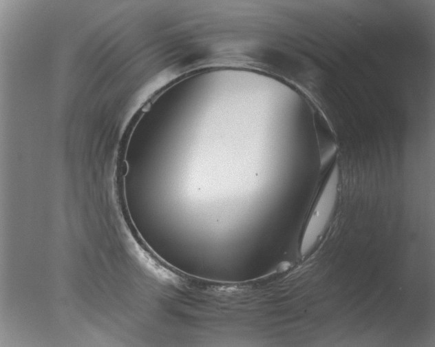 X0000077391139200610272006