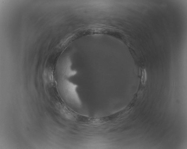 X0000077391155200610272005