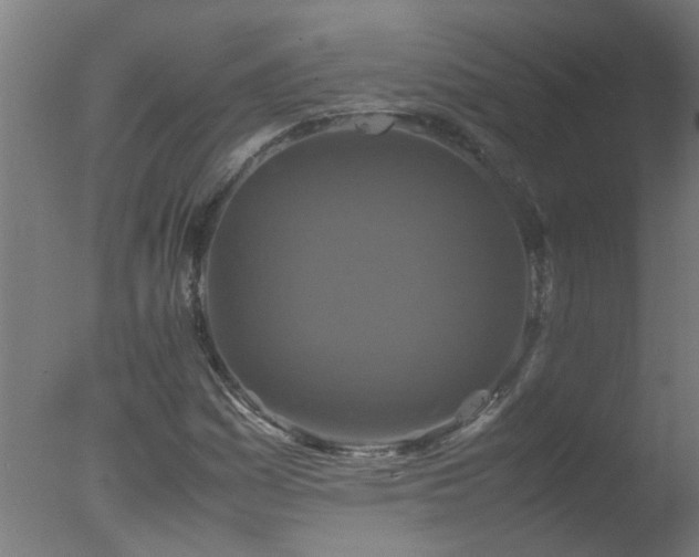 X0000077391161200610272005