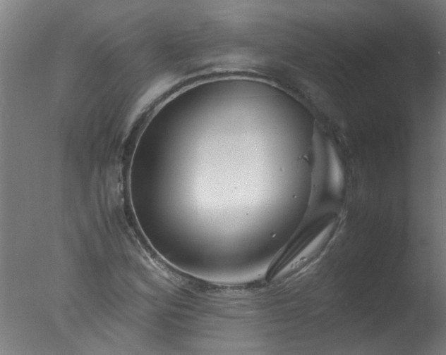 X0000077391164200610272005