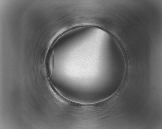 X0000077391181200610272005