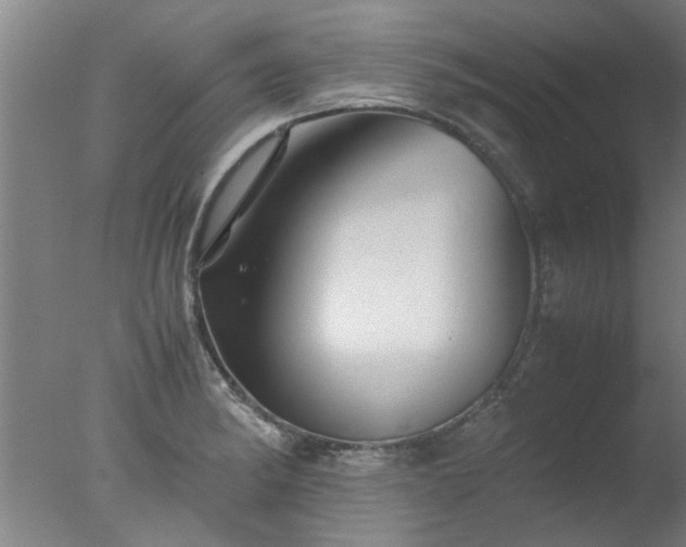 X0000077391182200610272005