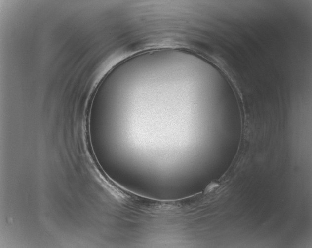 X0000077391187200610272005