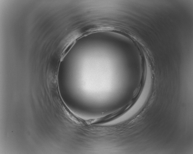 X0000077391193200610272004