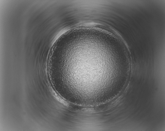 X0000077391194200610272004