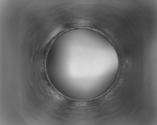 X0000077391211200610272004