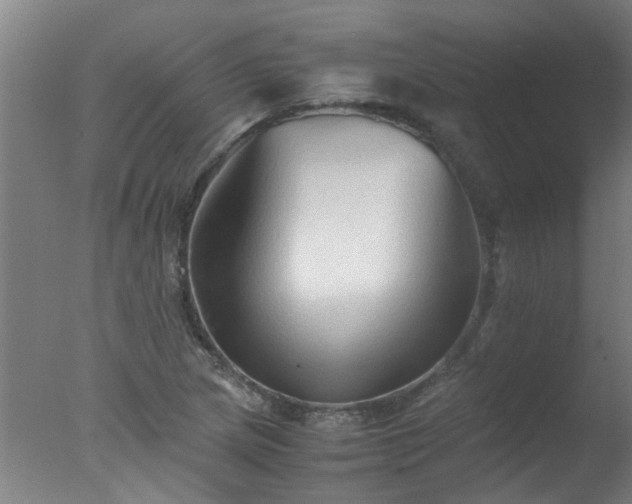 X0000077391217200610272004